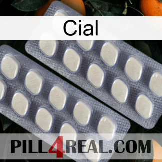Cial 07